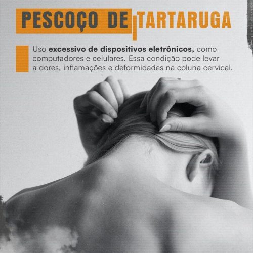 Pescoço de tartaruga