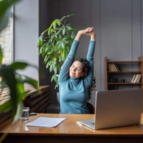 Técnicas para equilibrar produtividade e bem-estar